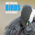Cover Art for 9781921073175, Australian Birds in Pictures:CE: Compact edition by Jones, Matthew; Paton, Duade