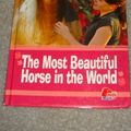 Cover Art for 9781933343600, The Most Beautiful Horse in the World by Diane Redmond