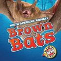 Cover Art for 9781626172586, Brown Bats by Christina Leaf