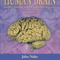 Cover Art for 9780323013215, Study Guide to Accompany The "Human Brain" by John Nolte
