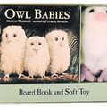 Cover Art for 9780763621575, Owl Babies by Martin Waddell