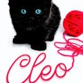 Cover Art for 9789021803630, Cleo by Helen Brown