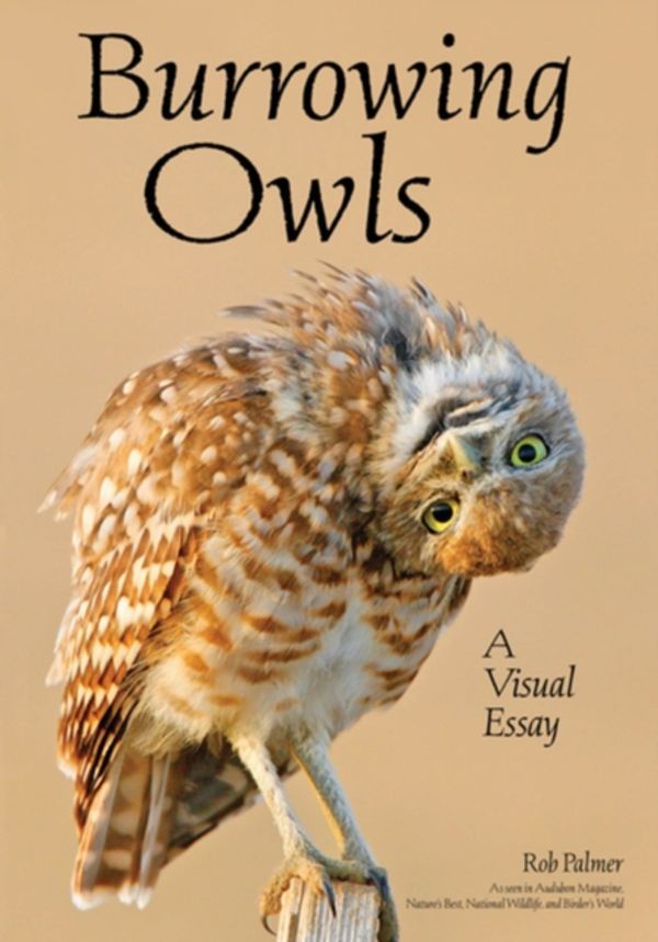 Cover Art for 9781682034040, Burrowing Owls: A Visual Essay by Rob Palmer