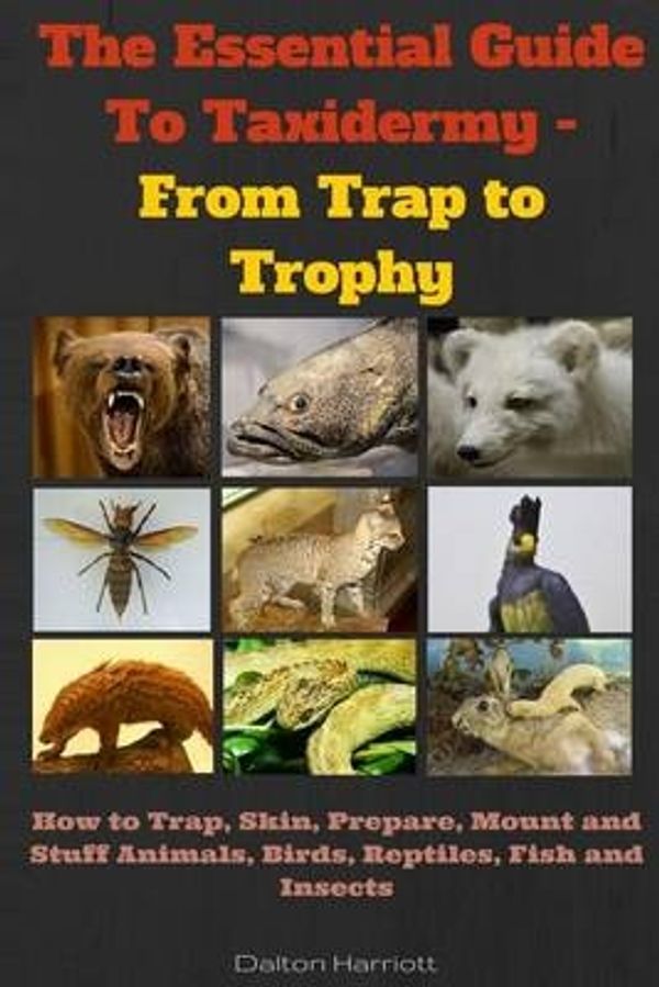 Cover Art for 9781517397142, The Essential Guide to Taxidermy - From Trap to TrophyHow to Trap, Skin, Prepare, Mount and Stuff Ani... by Dalton Harriott
