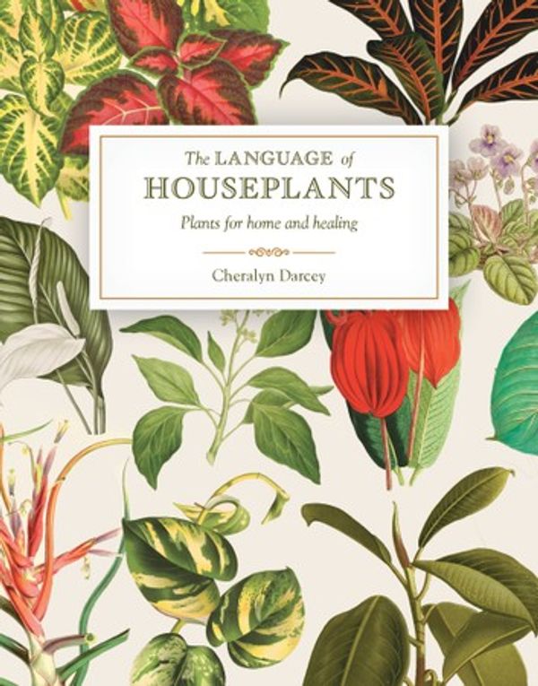 Cover Art for 9781925924879, The Language of Houseplants by Cheralyn Darcey