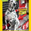 Cover Art for 9781426328206, National Geographic Kids Chapters Hero DogsHero Dogs by Mary Quattlebaum