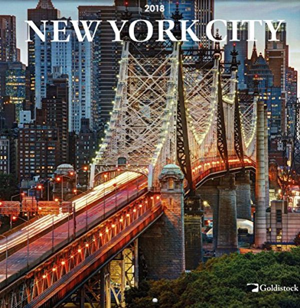 Cover Art for 9781465077202, Goldistock -"New York City" Eco-Friendly 2018 Large Wall Calendar - 12" x 24" (Open) - Thick & Sturdy Paper - Perfect for Anyone who Loves The City That Never Sleeps by Unknown