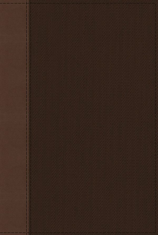 Cover Art for 9780310452690, NRSV, Cultural Backgrounds Study Bible, Leathersoft, Tan/Brown, Comfort PrintBringing to Life the Ancient World of Scripture by Zondervan