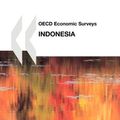 Cover Art for 9789264083400, OECD Economic Surveys by OECD Publishing