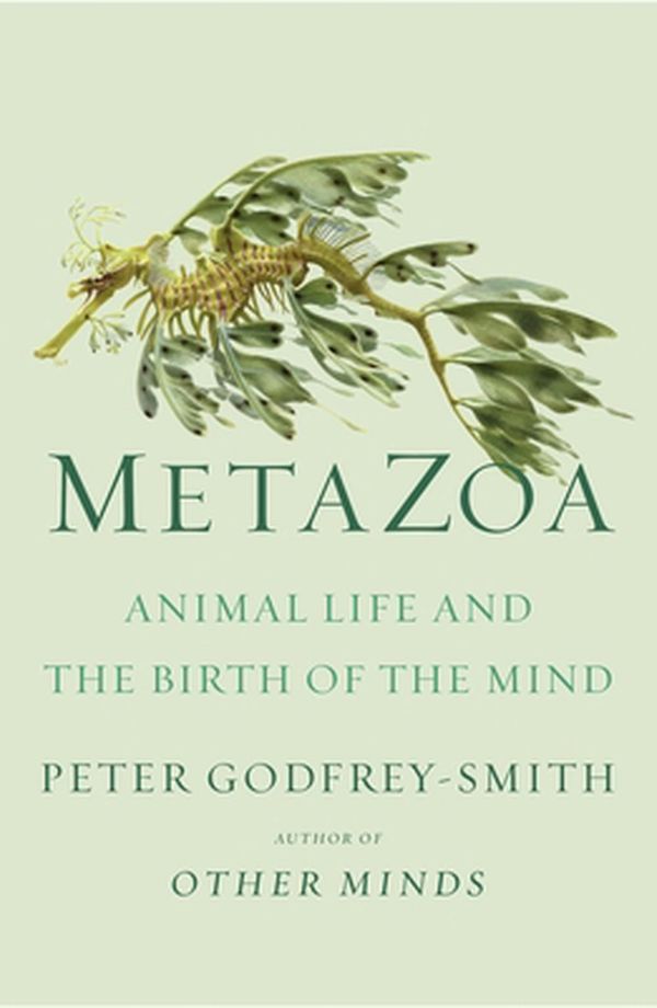 Cover Art for 9780374207946, Metazoa: The Animal Kingdom and the Evolution of the Mind by Godfrey-Smith, Peter