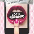 Cover Art for 9781477604922, The Not So Secret Emails of Coco Pinchard by Robert Bryndza