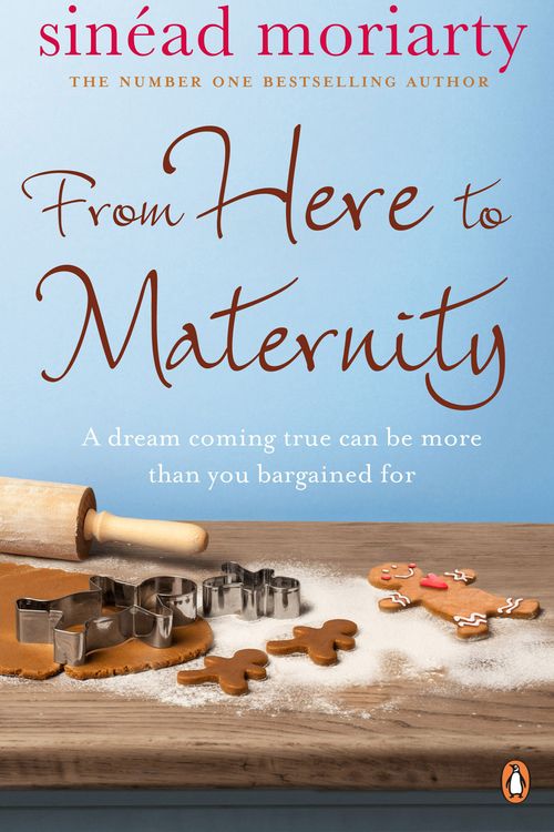 Cover Art for 9781844880683, From Here to Maternity by Sinéad Moriarty