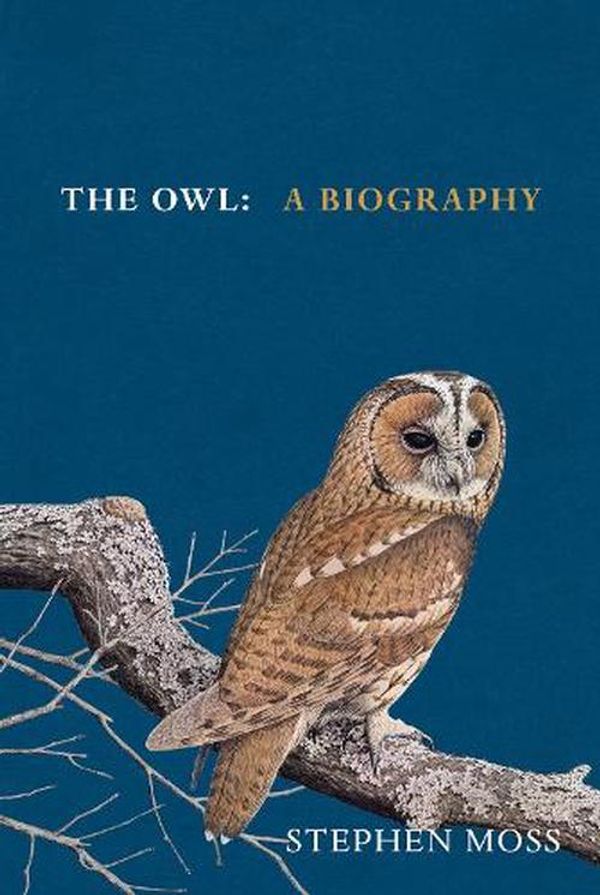 Cover Art for 9781529908268, The Owl: A Biography by Stephen Moss