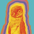 Cover Art for B00A6JI8J0, Let's Explore Diabetes with Owls by David Sedaris