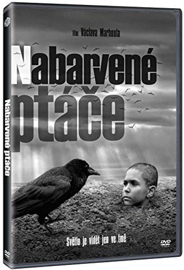 Cover Art for 8595165375312, The Painted Bird / Nabarvene ptace DVD 2019 by Unknown