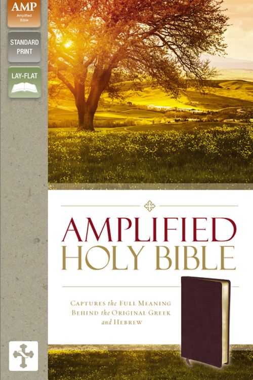 Cover Art for 9780310443940, Amplified Holy BibleCaptures the Full Meaning Behind the Original G... by Zondervan