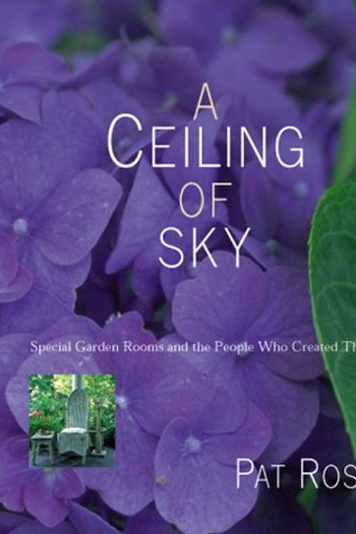 Cover Art for 9780737006117, A Ceiling of Sky by Pat Ross