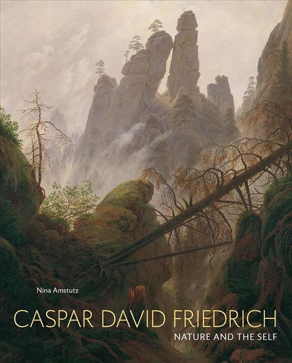 Cover Art for 9780300246162, Caspar David Friedrich: Nature and the Self by Nina Amstutz
