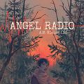 Cover Art for 9781634762809, Angel Radio by A. M. Blaushild