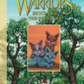 Cover Art for 9780062193025, Warriors: SkyClan and the Stranger #3: After the Flood by Erin Hunter, James L Barry, John Hunt