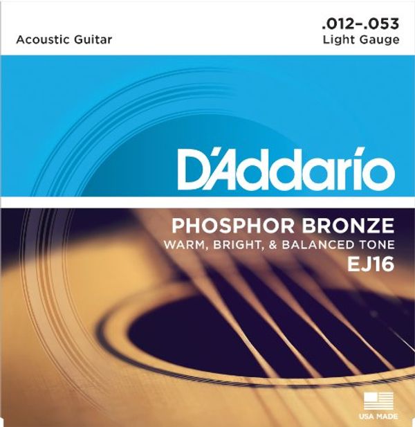Cover Art for 7352282629527, (Pack of 1, Light) - D'Addario EJ16 Phosphor Bronze Acoustic Guitar Strings, Light by Swamp