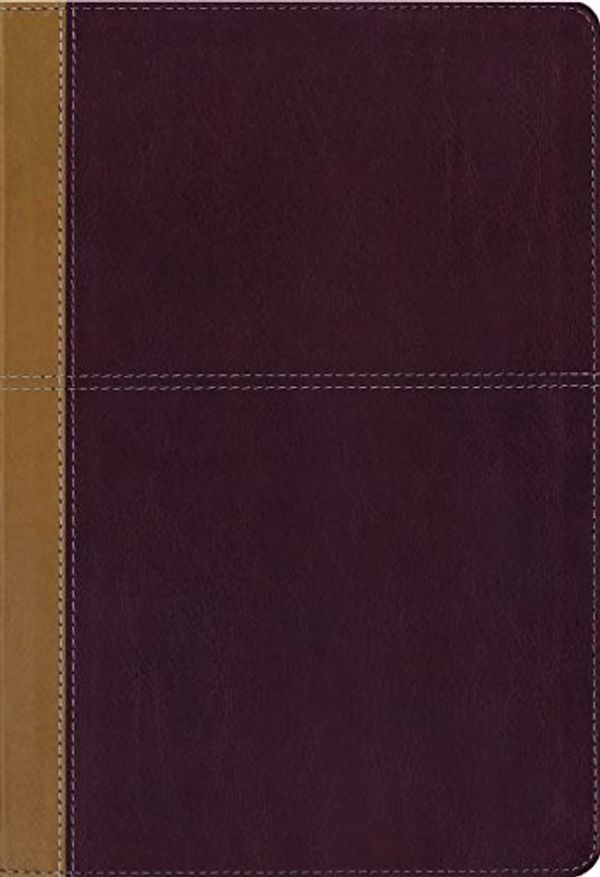 Cover Art for 0025986443344, KJV, Amplified, Parallel Bible, Large Print, Leathersoft, Tan/Red, Red Letter Edition: Two Bible Versions Together for Study and Comparison by Zondervan