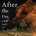 Cover Art for 9780307378460, After the Fire, a Still Small Voice by Evie Wyld