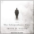 Cover Art for 9798200440092, The Schopenhauer Cure: A Novel by Irvin D. Yalom