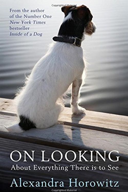 Cover Art for 9781471126215, On Looking by Alexandra Horowitz