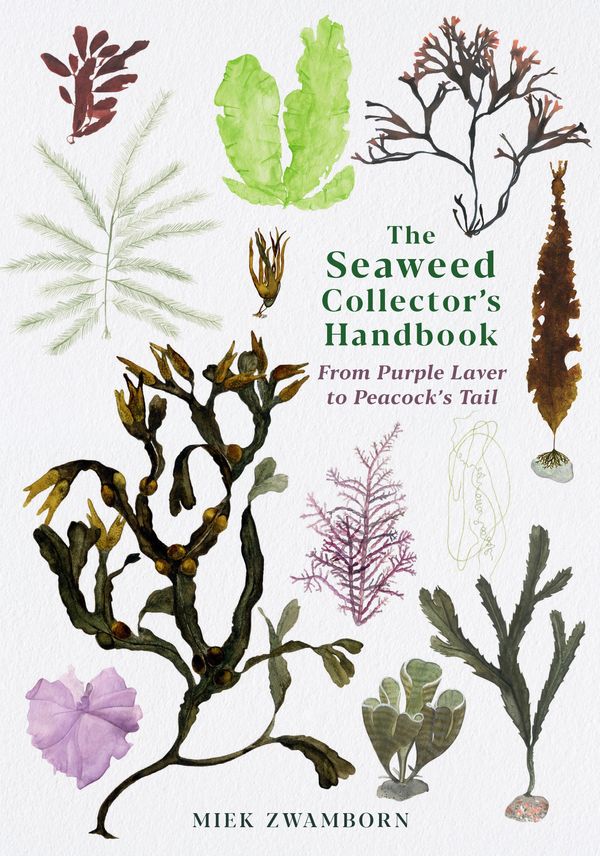 Cover Art for 9781788165464, The Seaweed Collector's Handbook: From Purple Laver to Peacock's Tail by Miek Zwamborn