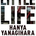 Cover Art for 9781447294818, A Little Life by Hanya Yanagihara