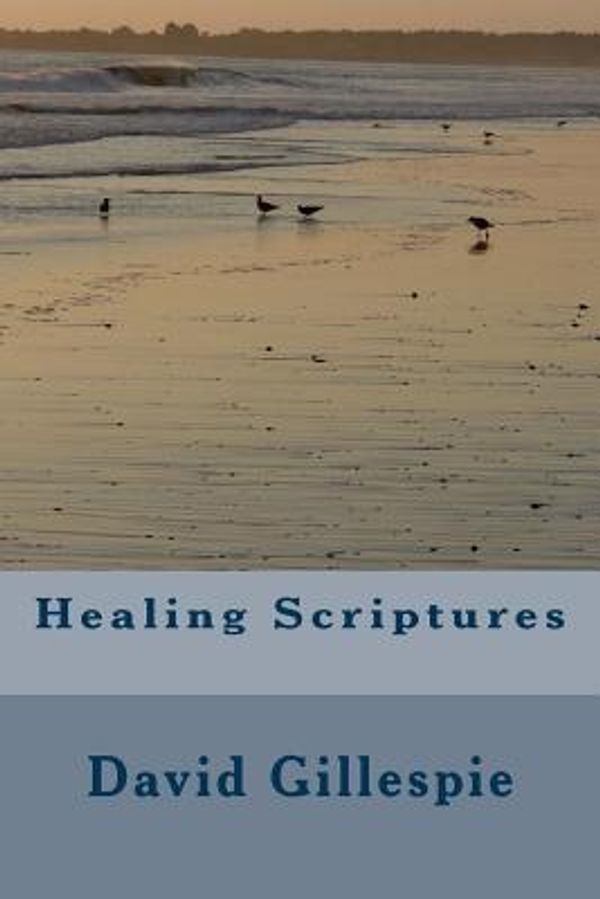 Cover Art for 9781515051732, Healing Scriptures by Mr. David M. Gillespie
