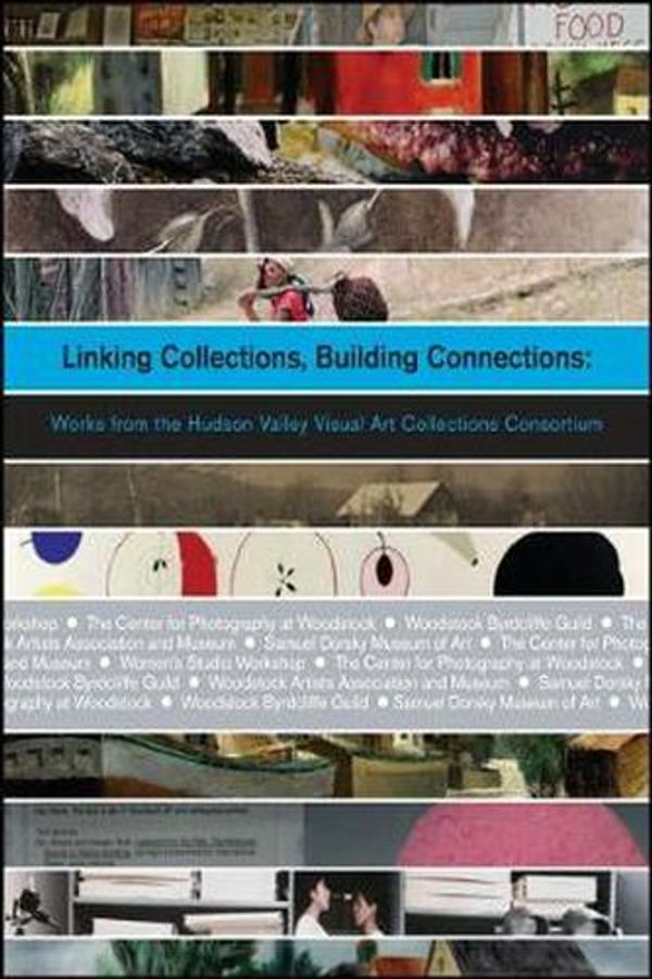 Cover Art for 9780615455099, Linking Collections, Building Connections: Works from the Hudson Valley Visual Art Collections Consortium (Samuel Dorsky Museum of Art) by Brian Wallace