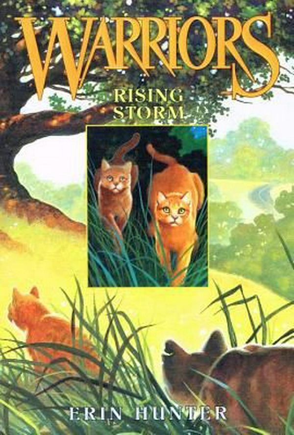 Cover Art for 9780756956691, Rising Storm by Erin L Hunter