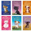 Cover Art for 9781788954228, Holly Webb Animal Stories, Pet Rescue Adventure - Puppy and Kitten 6 Books Collection Set by Holly Webb