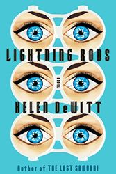 Cover Art for 9780811219433, Lightning Rods by Helen de Witt