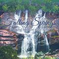 Cover Art for 9781640036246, Falling Springs: A novel based on a true story by Marylee Jackson