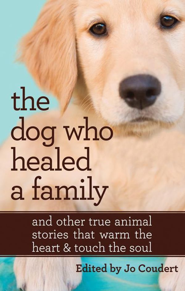 Cover Art for 9781460884645, The Dog Who Healed A Family by Jo Coudert