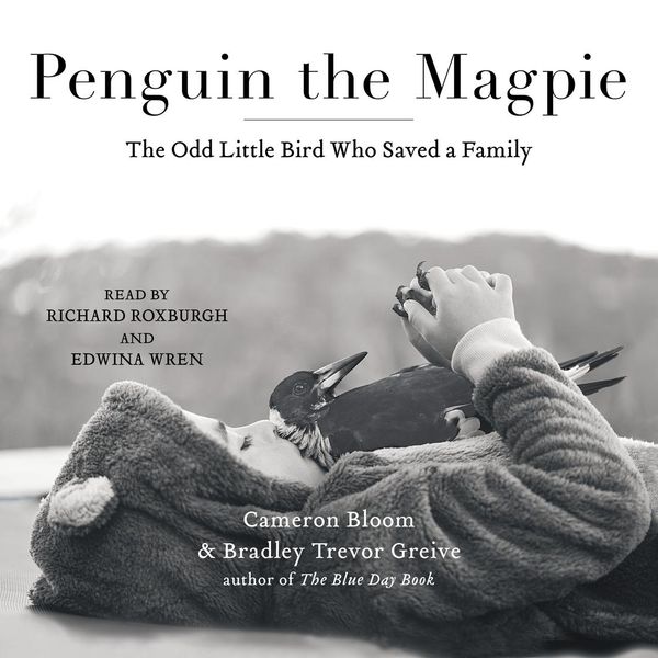 Cover Art for 9781508230656, Penguin the Magpie by Cameron Bloom