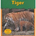 Cover Art for 9781588109040, Tiger by Patricia Whitehouse