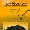 Cover Art for 9781602374218, Thich Nhat Hanh Engagement Calendar by Thich Nhat Hanh