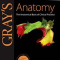 Cover Art for 9780443066849, Gray's Anatomy by Susan Standring