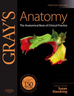Cover Art for 9780443066849, Gray's Anatomy by Susan Standring
