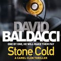 Cover Art for 9781743036624, Stone Cold by David Baldacci