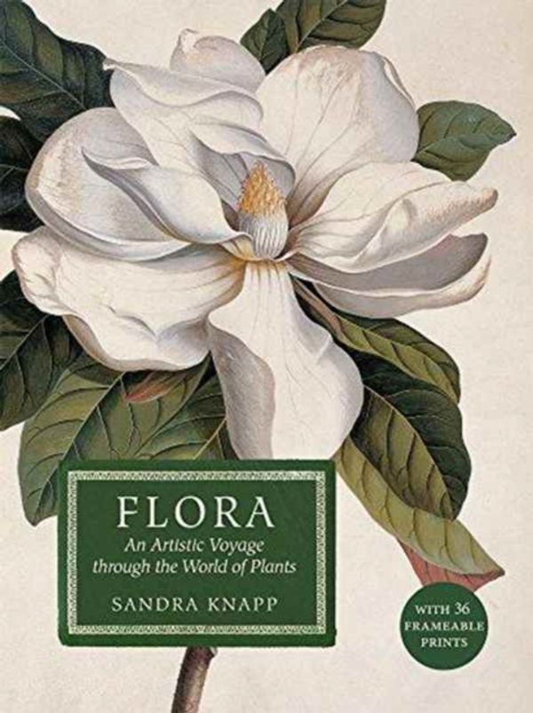 Cover Art for 9780565093983, FloraAn Artistic Voyage Through the World of Plants ... by Sandra Knapp