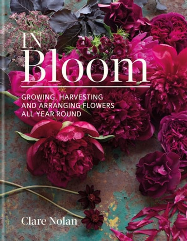 Cover Art for 9780857837691, In Bloom: Growing, harvesting and arranging flowers all year round by Clare Nolan