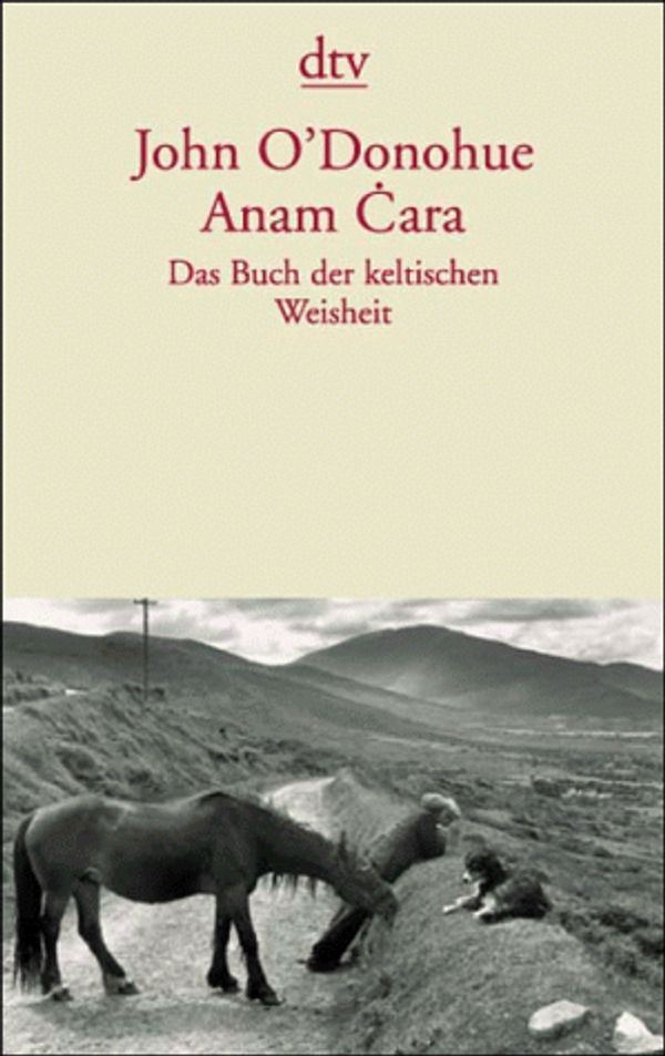 Cover Art for 9783423084734, Anam Cara by O'Donohue John