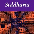 Cover Art for 9781412189538, Siddharta by Hermann Hesse