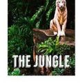 Cover Art for 9781508798545, The Jungle by Upton Sinclair