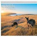 Cover Art for 9780648473022, Wildlife of Australia 2020 Wall Calendar by Steven Nowakowski